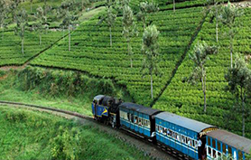 ooty special tour deals